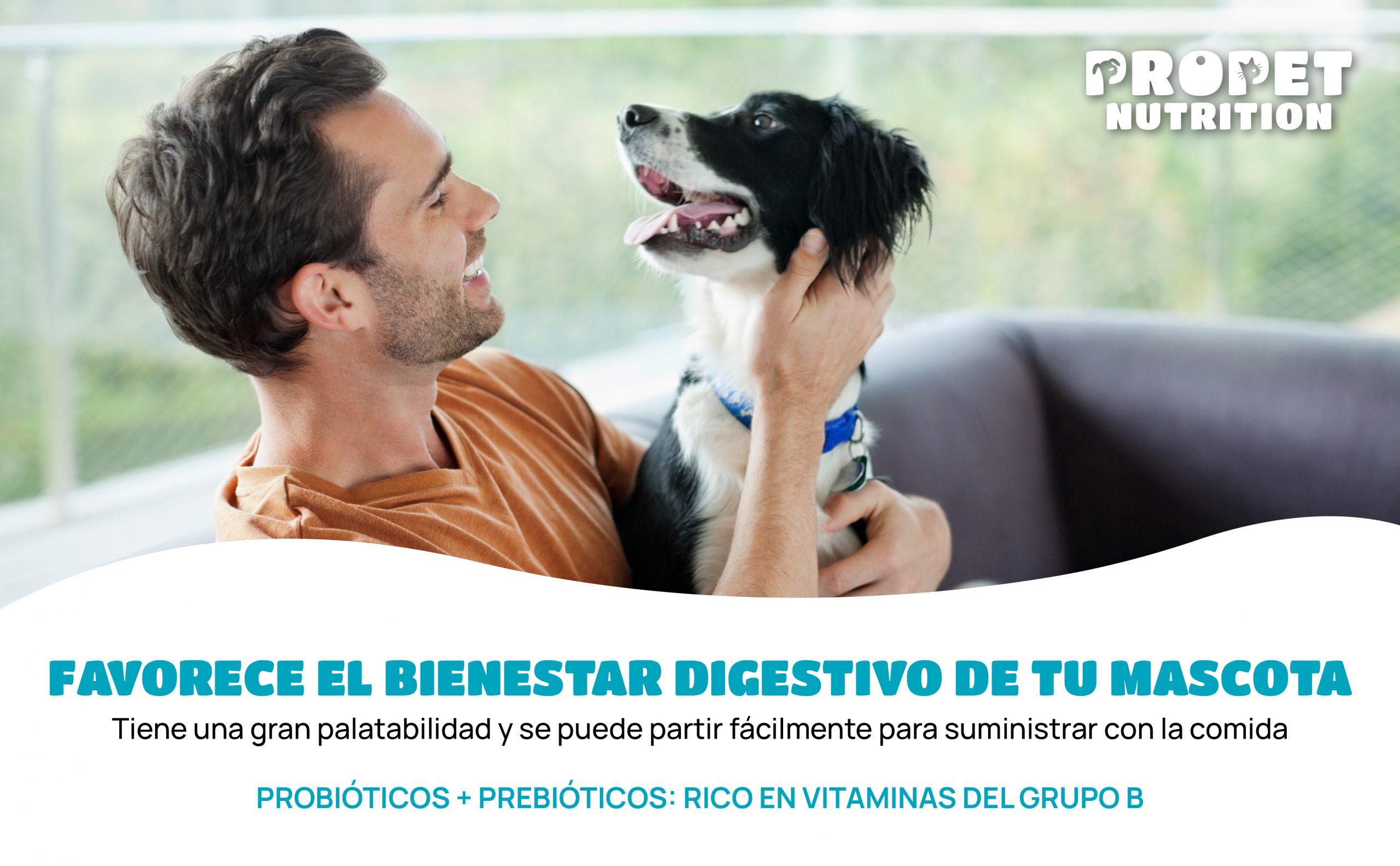 probióticos perros